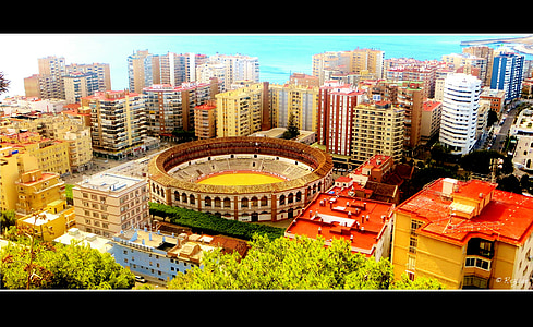brown and white stadium thumbnail
