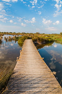 brown wooden dock on body of water thumbnail