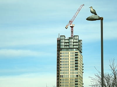 Beige Concrete High-rise Building thumbnail