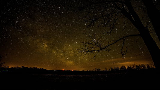 silhouette of tree and buildings during night time thumbnail