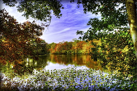 body of water near garden during daytime thumbnail