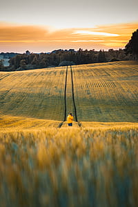man standing on yellow grass field near trees during daytime thumbnail