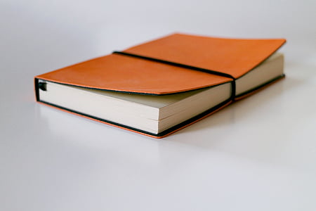 brown and white book thumbnail