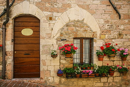 flowers hang on concrete wall near window and door thumbnail