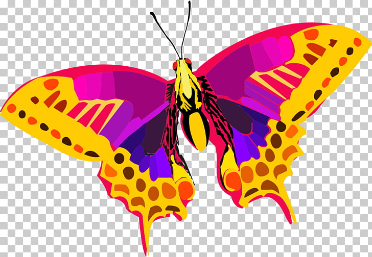 Butterfly Abstract Colors Hd Png Clipart Free Cliparts Uihere