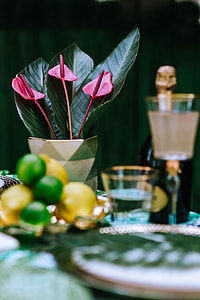Colorful Exotic Flowers and Greenery thumbnail