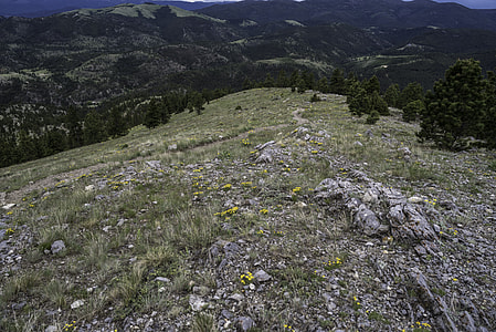 Looking on from the top of Mount Helena thumbnail