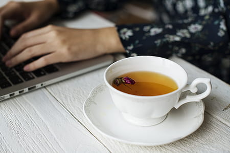 white ceramic teacup on top of white saucer thumbnail