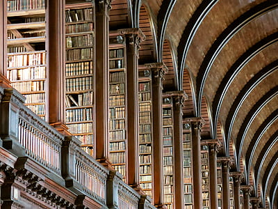 brown wooden bookshelves in library thumbnail