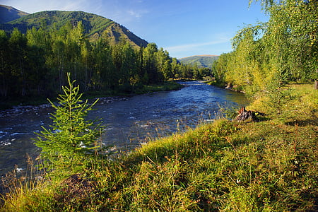 photo of body of water surrounded by trees thumbnail