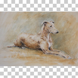 Lurcher Italian Greyhound Borzoi Whippet Painting Png Clipart