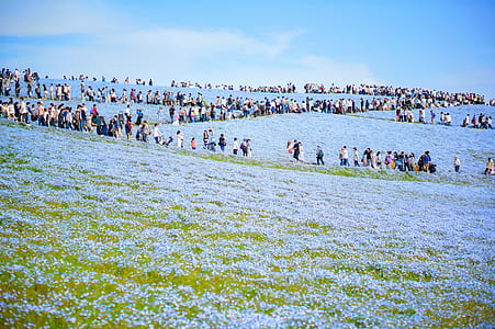 person taking photo of peoples thumbnail