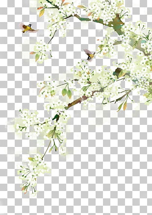 Watercolor painting Ink wash painting Chinoiserie Illustration, Antiquity beautiful watercolor illustration, white flowers painting PNG clipart
