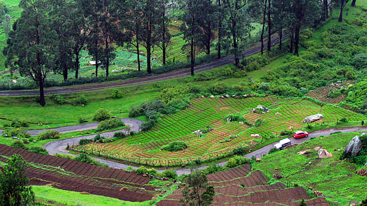road near green grass and trees at daytime thumbnail