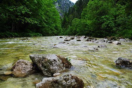 River Between Mountain Surrounded by Green Leaf Trees thumbnail