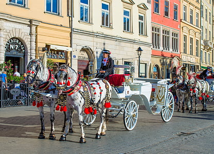 man riding carriage thumbnail
