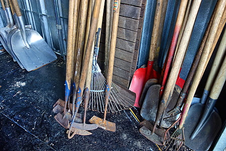 assorted gardening tools leaning at side of a wall thumbnail