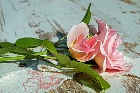 pink roses on brown wooden surface thumbnail