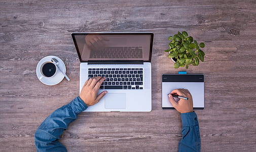 person with blue long-sleeved shirt using MacBook Pro on gray wood board panel thumbnail