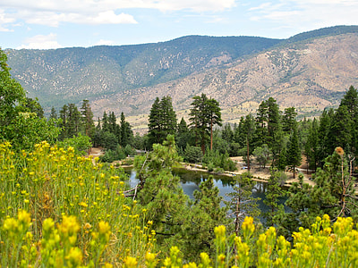 field of trees beside body of water near mountain ranges thumbnail