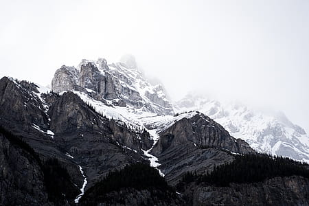 gray mountains covered by snow surrounded by green trees during daytime high-angle photography thumbnail