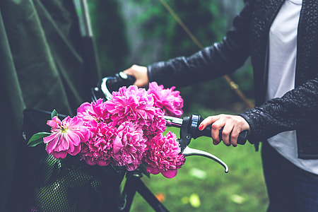 tilt shift lens photography of pink flower on bicycle thumbnail