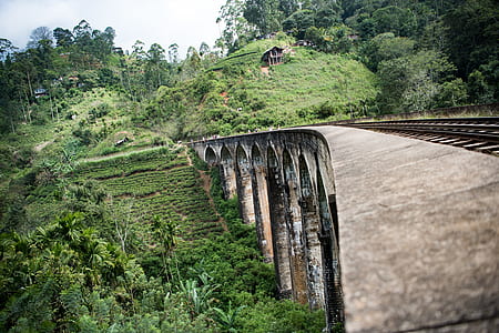 brown bridge surrounded by green trees thumbnail