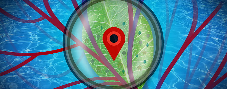 Analysis of Details - Abstract Design Alternate thumbnail