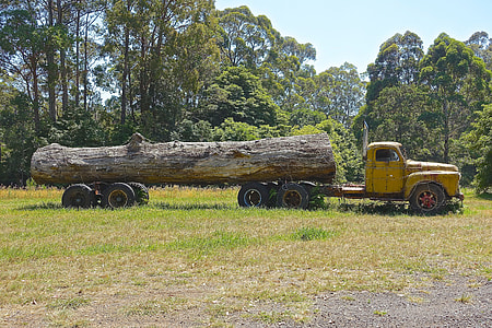 Truck pulling large log in the field thumbnail