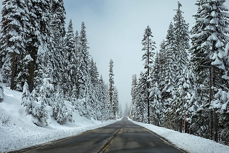 gray asphalt road beside snow field thumbnail