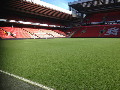empty soccer field under blue sky thumbnail
