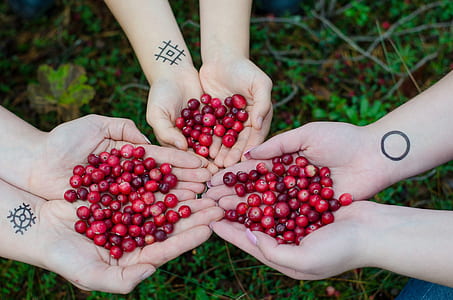 three people with red cherries on their hands thumbnail