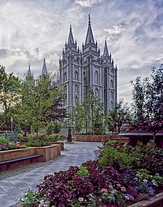 photo of white concrete cathedral thumbnail