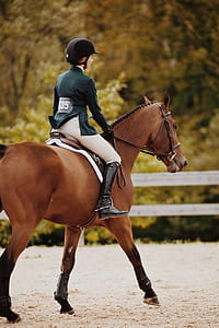 Depth of Field Photography of Woman Riding Brown Horse thumbnail