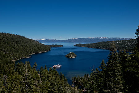 photo of green pine tree filled forest near body of water thumbnail