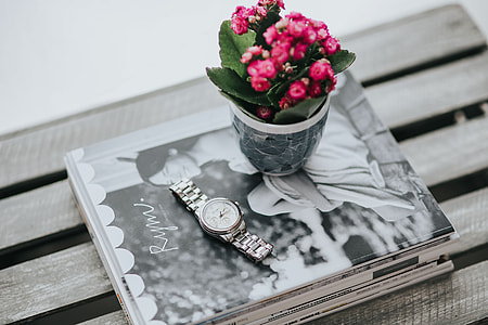 Little pink flowers in a pot with various items thumbnail