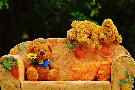 two brown bear plush toys on couch thumbnail