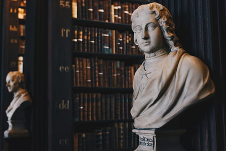 grey headbust on library thumbnail