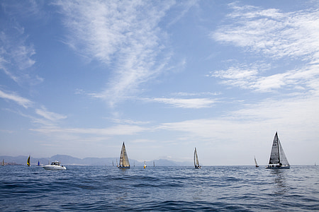 sailboats under sunny sky thumbnail