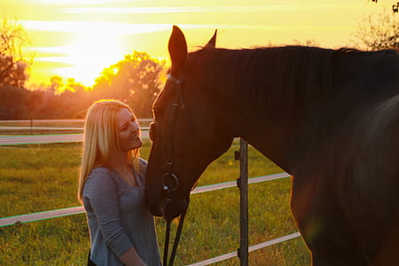 woman holding black horse during golden hour thumbnail
