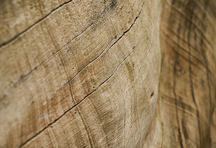 Abstract, Brown, Tree, Timber, Pattern, texture thumbnail