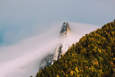 landscape photography of tall green leafed trees near snow mountain thumbnail