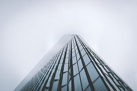 worm-eye view of high-rise building thumbnail