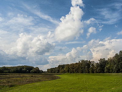 green grass field and trees under cumulus clouds thumbnail