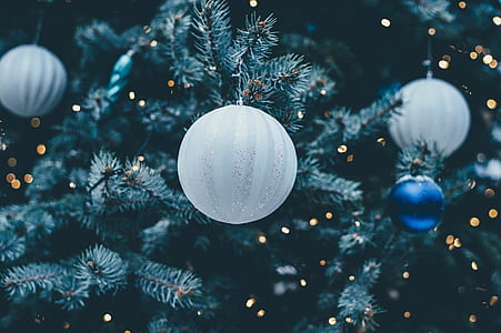 baubles hanged on tree thumbnail