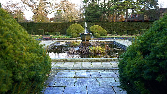 water, garden, trees, countryside thumbnail