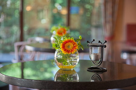 clear glass vase with green and red petal flowers on table thumbnail