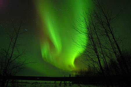 Aurora lights thumbnail