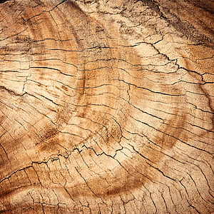 brown wooden slab thumbnail