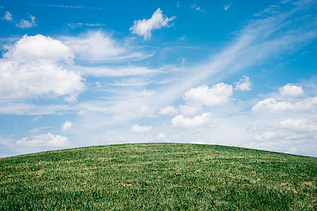 green grass under blue sky thumbnail
